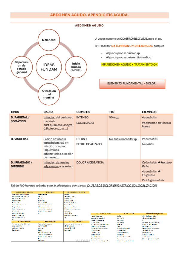 Miniatura del documento 11-Abdomen-agudo-y-apendicitis-clau.pdf