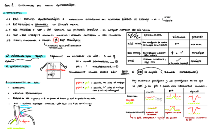 Miniatura del documento 1.-ERGE.pdf