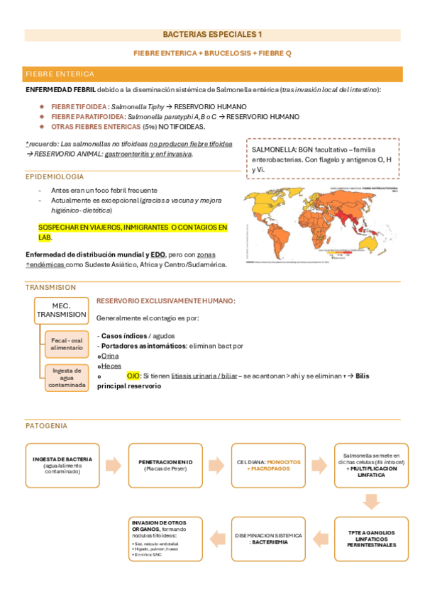 Miniatura del documento T10.-BACT-ESPECIALES-parte-1.pdf