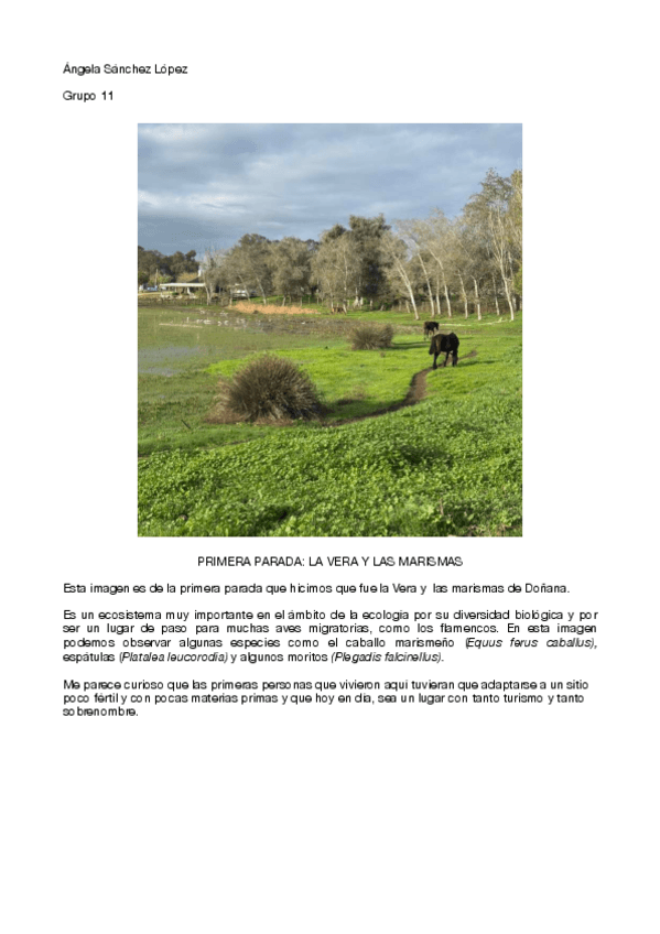 Miniatura del documento Informe-salida-a-Donanacompressed.pdf