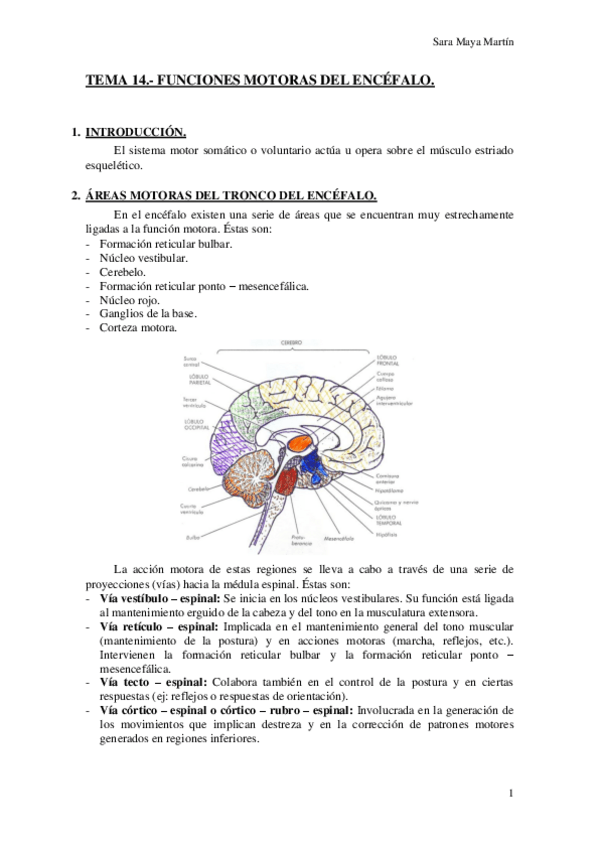 Miniatura del documento TEMA 14.- FUNCIONES MOTORAS DEL ENCÉFALO..pdf