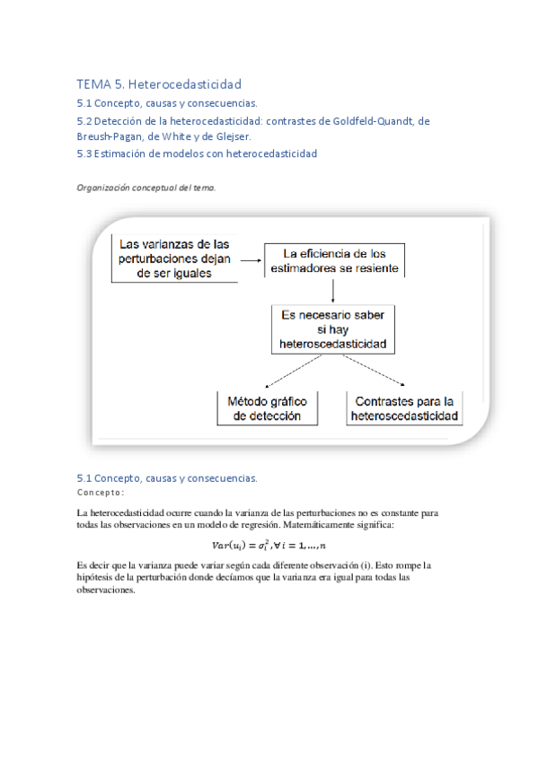 Miniatura del documento Econometria-tema-5-Explicado.pdf