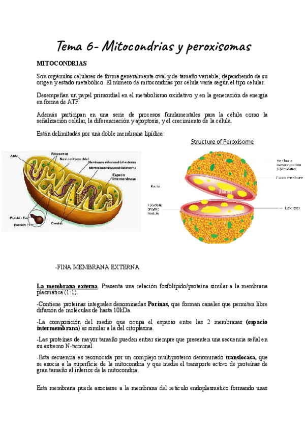 Miniatura del documento Documento-sin-titulo-1.pdf