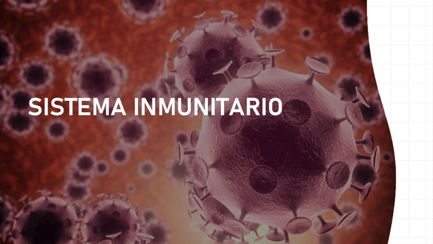 Miniatura del documento SISTEMA-INMUNITARIO.pdf