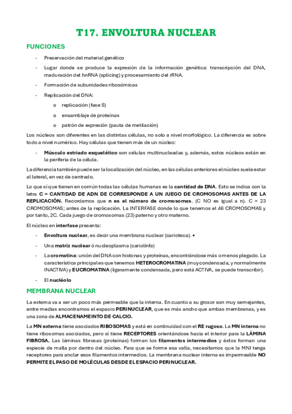 Miniatura del documento T17-ENVOLTURA-NUCLEAR.pdf