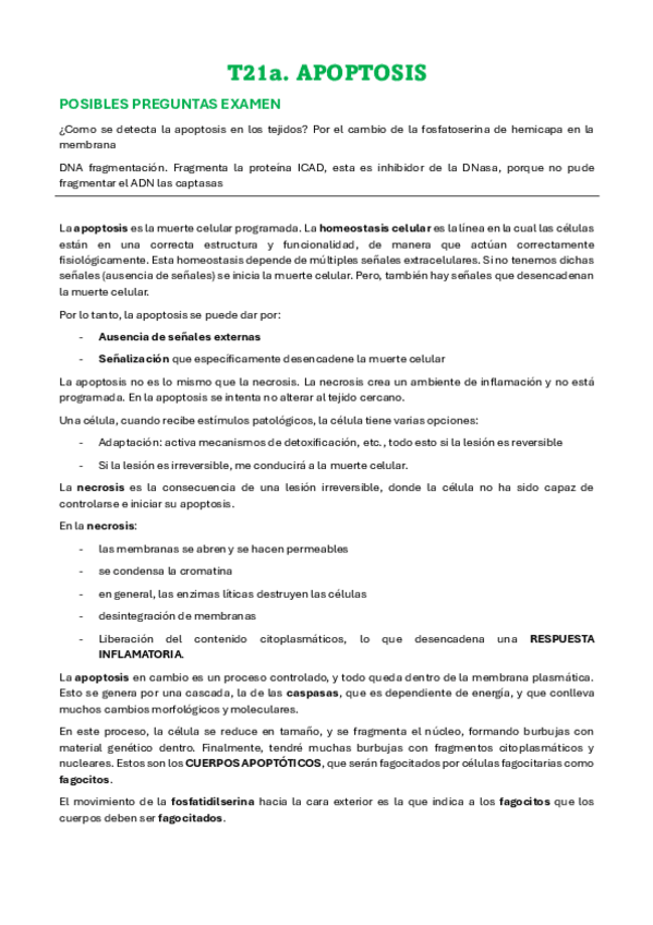 Miniatura del documento T21a-APOPTOSIS.pdf