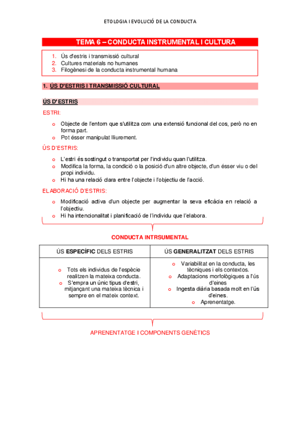 Miniatura del documento TEMA-6-ETOLOGIA-CONDUCTA-INSTRUMENTAL-I-CULTURA.pdf