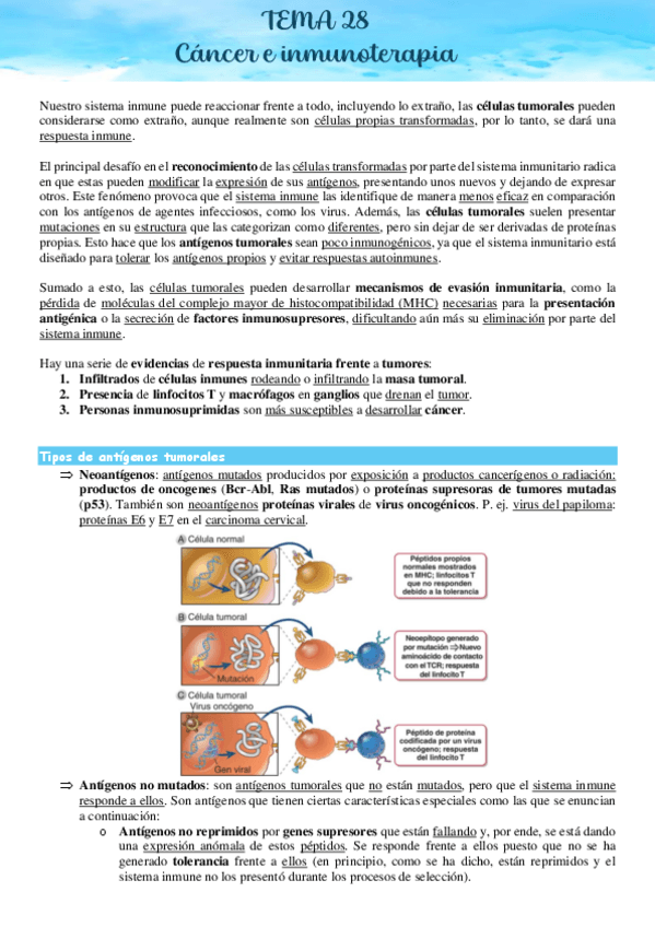 Miniatura del documento I-TEMA-28.pdf