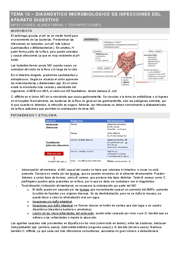 Miniatura del documento METODOS-DE-DIAGNOSTICO-TEMA-13.pdf