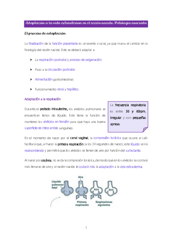 Miniatura del documento Modulo-3.-Recien-nacido-con-problemas-de-salud.pdf