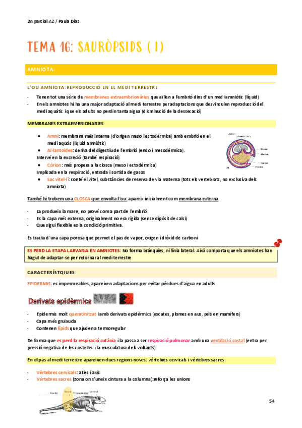 Miniatura del documento zoo t-16.pdf
