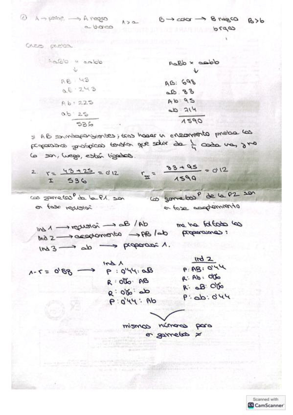 Miniatura del documento SERIE-3-EXPLICADA-Y-CON-ENUNCIADOS-AL-FINAL.pdf
