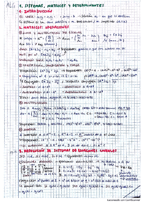 Miniatura del documento ALG-RESUMEN-APUNTES-TEMAS-1-Y-2-PRIMER-PARCIAL.pdf