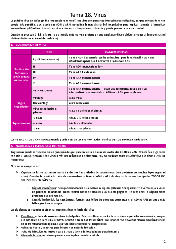 Miniatura del documento T18.-Virus.pdf