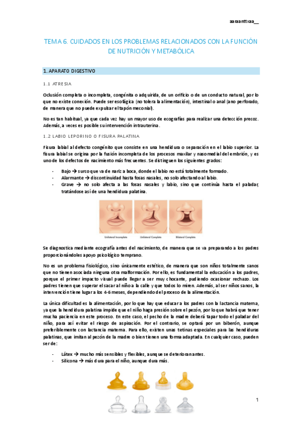 Miniatura del documento tema-6.pdf