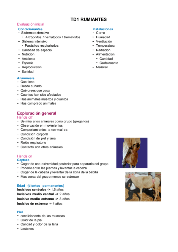 Miniatura del documento Practicas-TD1-rumiantes.pdf