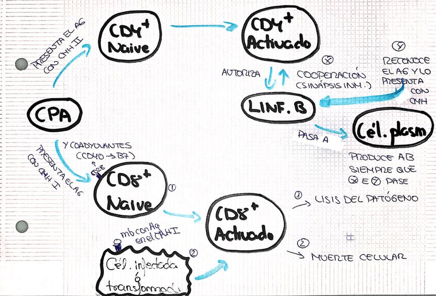 Miniatura del documento WhatsApp Image 2018-11-04 at 01.50.27 (1).jpeg