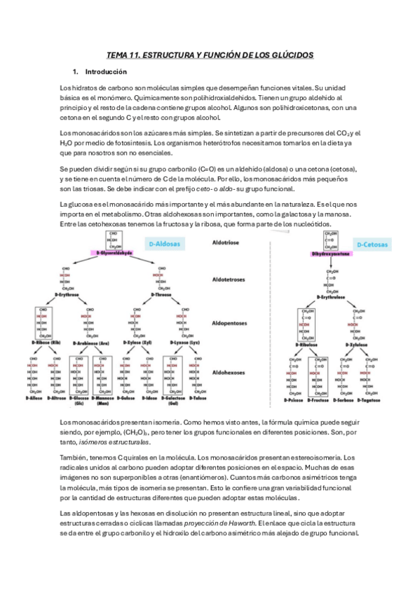 Miniatura del documento Tema-11-Carbohidratos.pdf