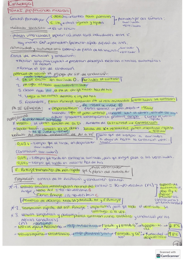 Miniatura del documento Cardio-completo-esquemaresumen.pdf
