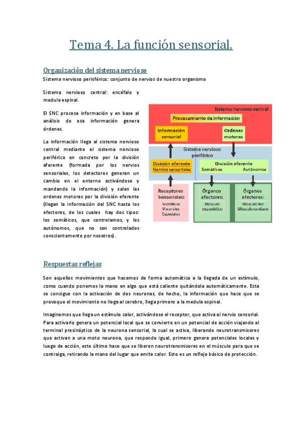 Miniatura del documento Tema 4.pdf