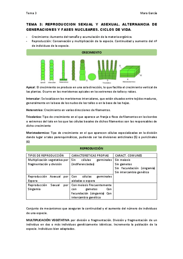 Miniatura del documento TEMA-3.pdf