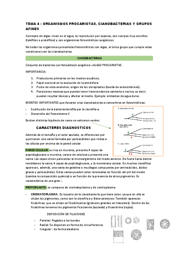 Miniatura del documento TEMA-4.pdf