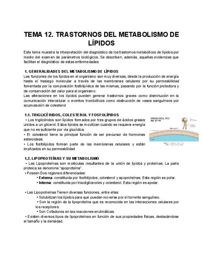 Miniatura del documento TEMA-12.pdf