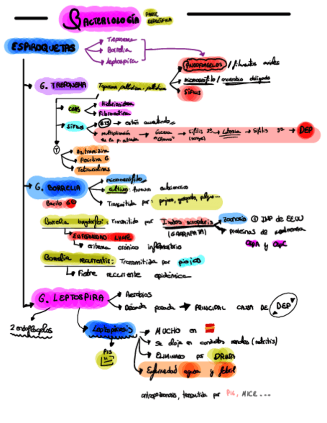 Miniatura del documento Bacteriologia-I.pdf