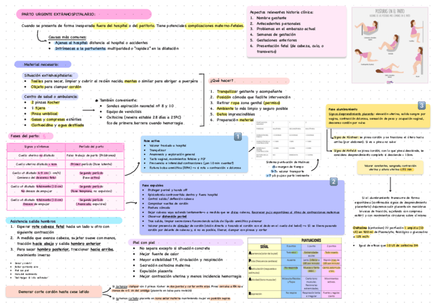Miniatura del documento Parto-Extrahospitalario-Y-HPP.pdf