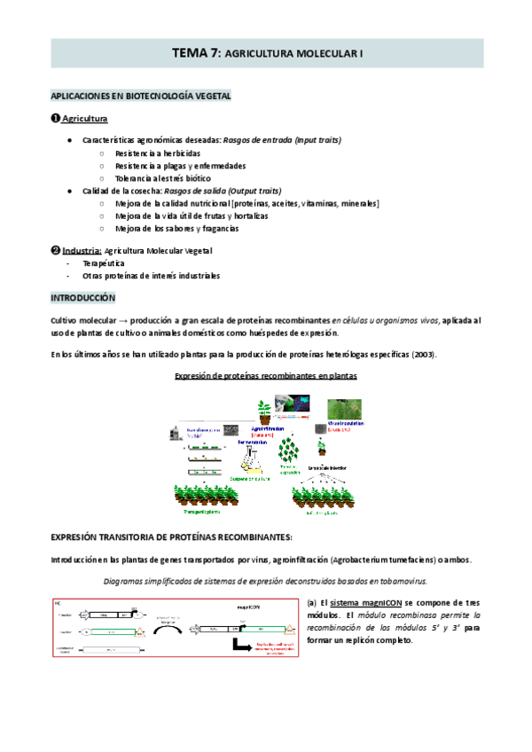 Miniatura del documento TEMA-7-AGRICULTURA-MOLECULAR-I.pdf