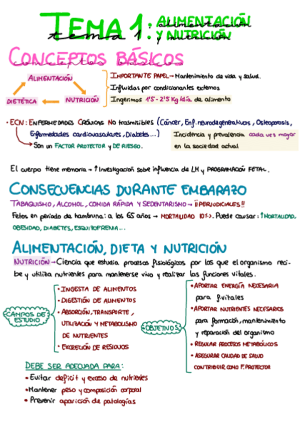 Miniatura del documento RESUMEN-T.1-NUTRICION.pdf