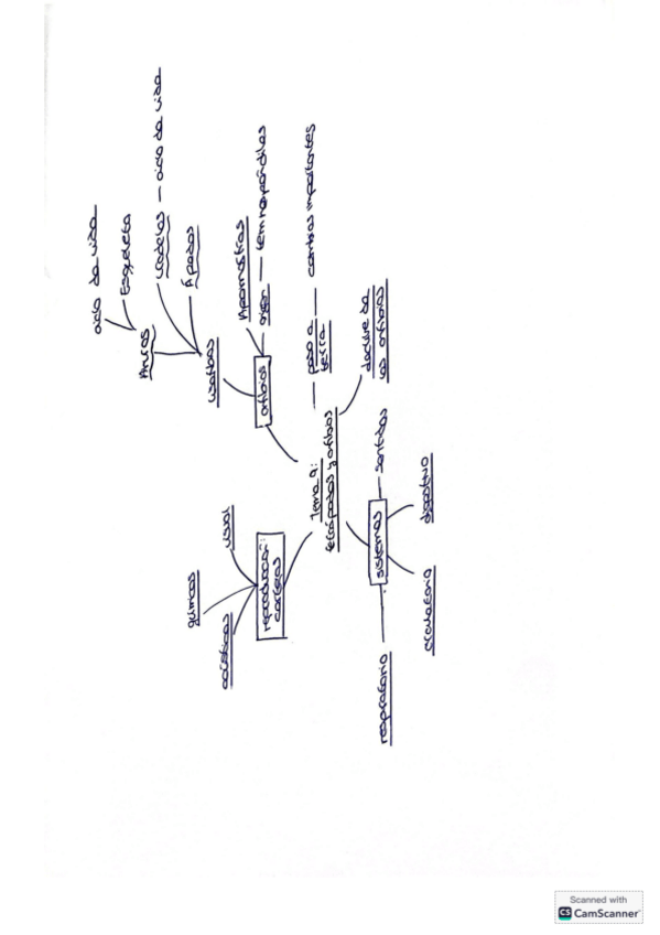 Miniatura del documento ESQUEMA-TEMA-9.pdf