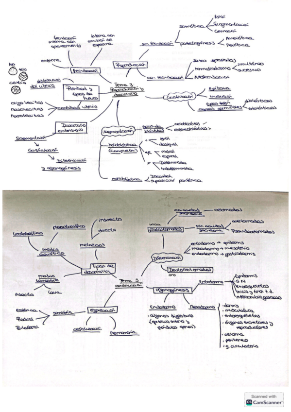 Miniatura del documento ESQUEMA-TEMA-3.pdf