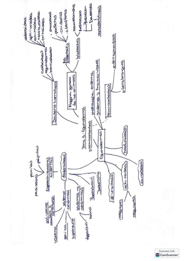 Miniatura del documento ESQUEMA-TEMA-5.pdf