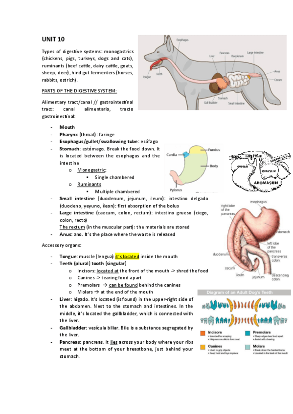 Miniatura del documento APUNTES-INGLES-24-25-COMPLETOS-TEMAS-10-19.pdf