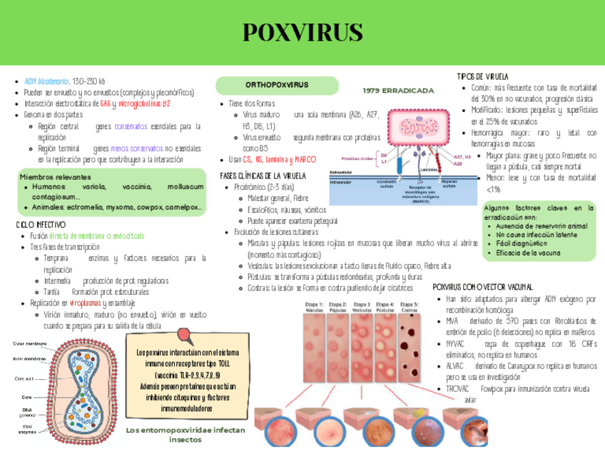 Miniatura del documento RV10.pdf