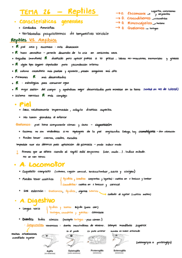 Miniatura del documento Zoologia.-Tema-26-Reptiles.pdf
