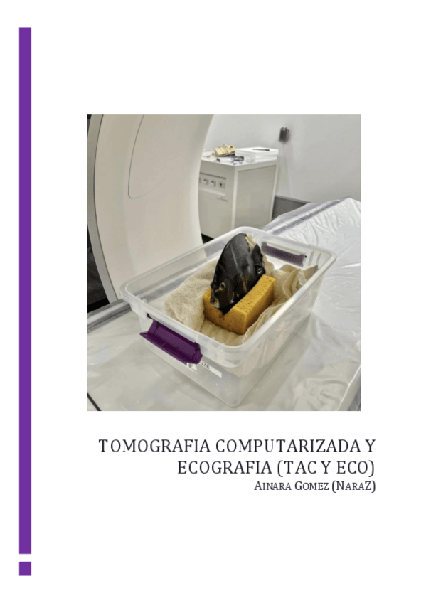 Miniatura del documento Tomografia-Computarizada-y-Ecografia-TAC-Y-ECO-ILERNA-RAYOS.pdf