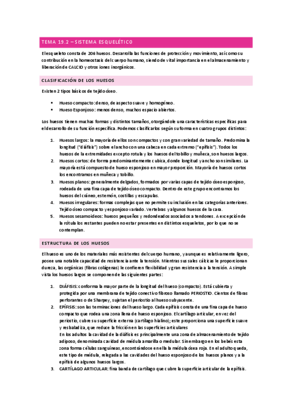 Miniatura del documento Sistema-esqueletico-Anatomia.pdf