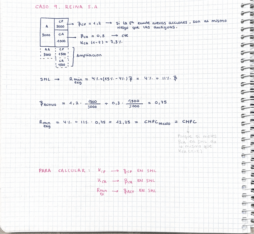 Miniatura del documento Caso-9-Reina-S.A.pdf