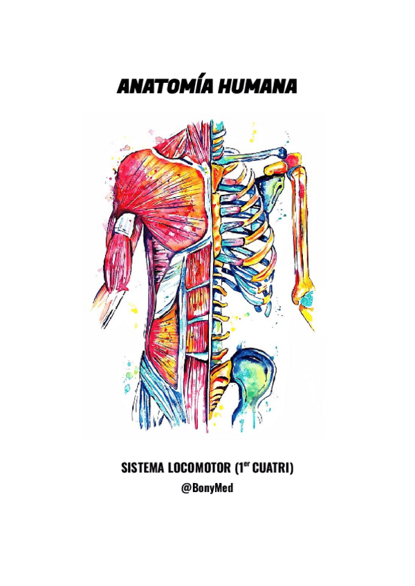 Miniatura del documento Anatomia-I-Sistema-Locomotor-Embriologia-Torax-y-Craneo.pdf