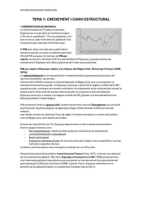 Miniatura del documento TEMA-1-EEESPANYOL.pdf