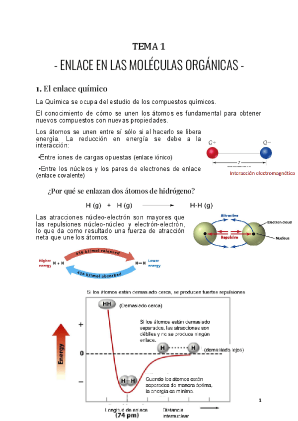 Miniatura del documento TEMA-1.pdf