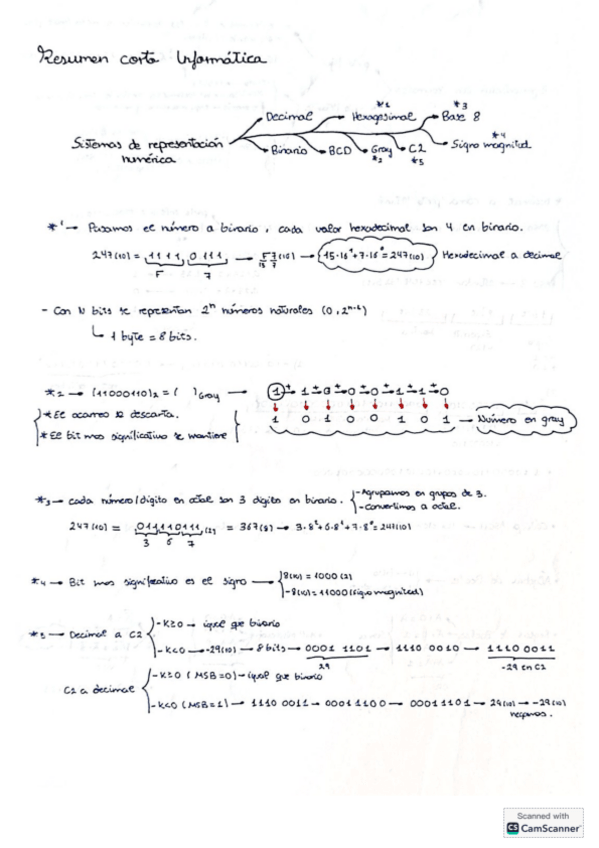 Miniatura del documento Resumen-super-corto-informatica.pdf