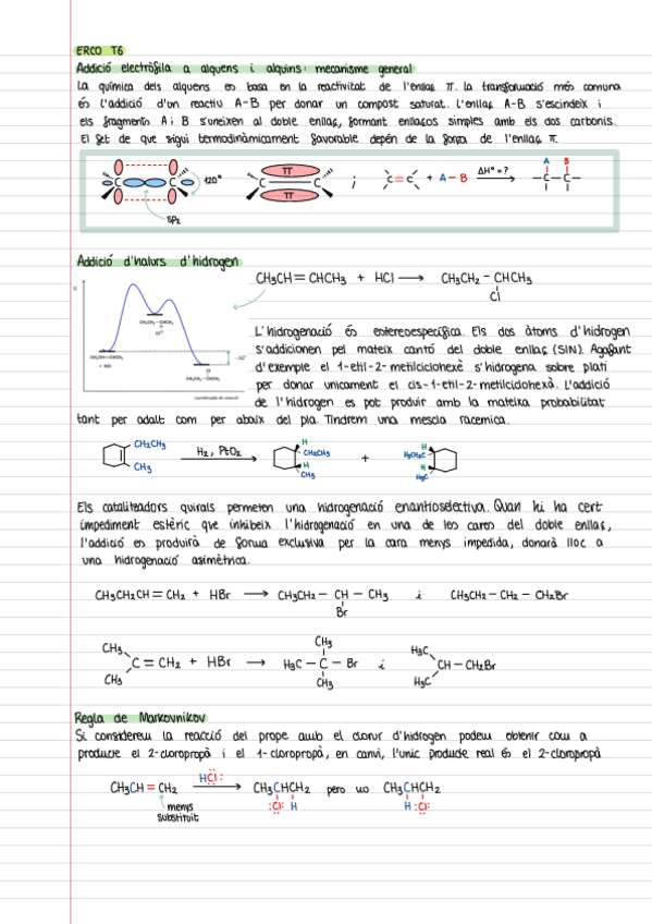 Miniatura del documento ERCO-T6.pdf