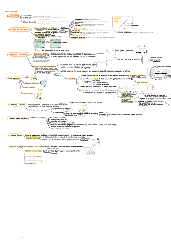 Miniatura del documento Modelos-de-evolucion.pdf