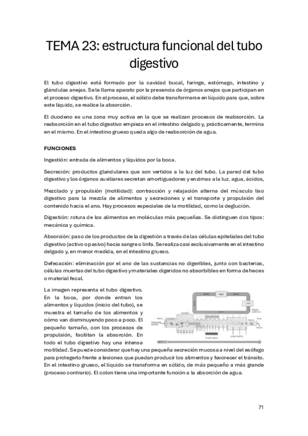 Miniatura del documento Digestivo.pdf