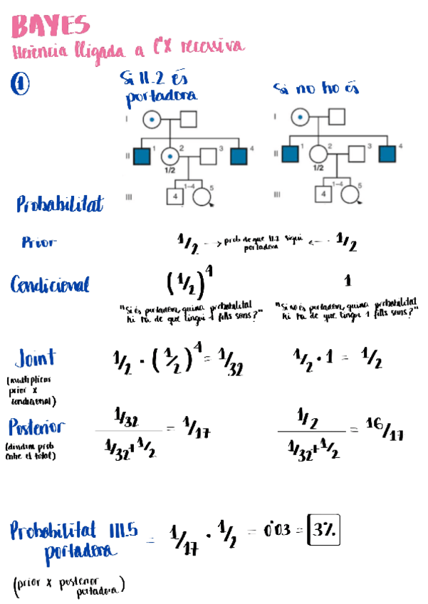 Miniatura del documento bayes.pdf