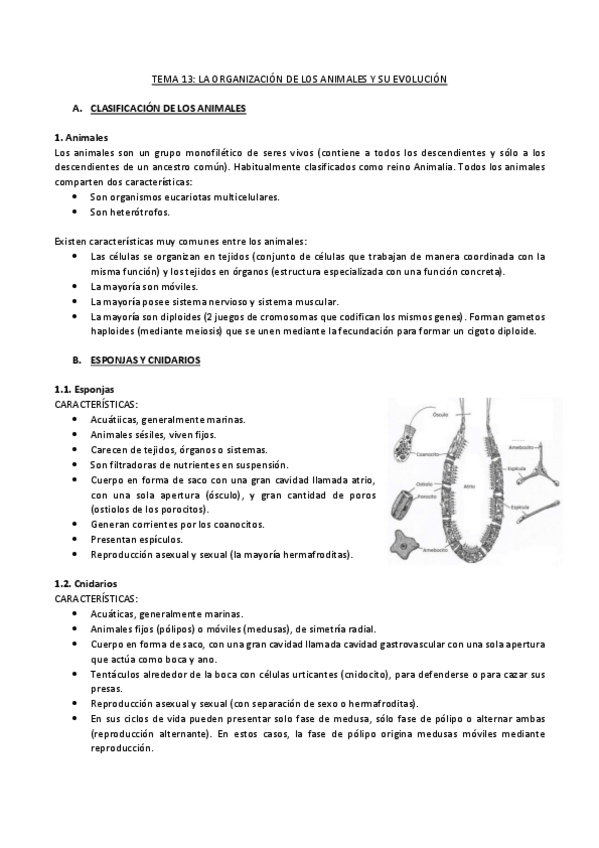 Miniatura del documento TEMA-13.pdf