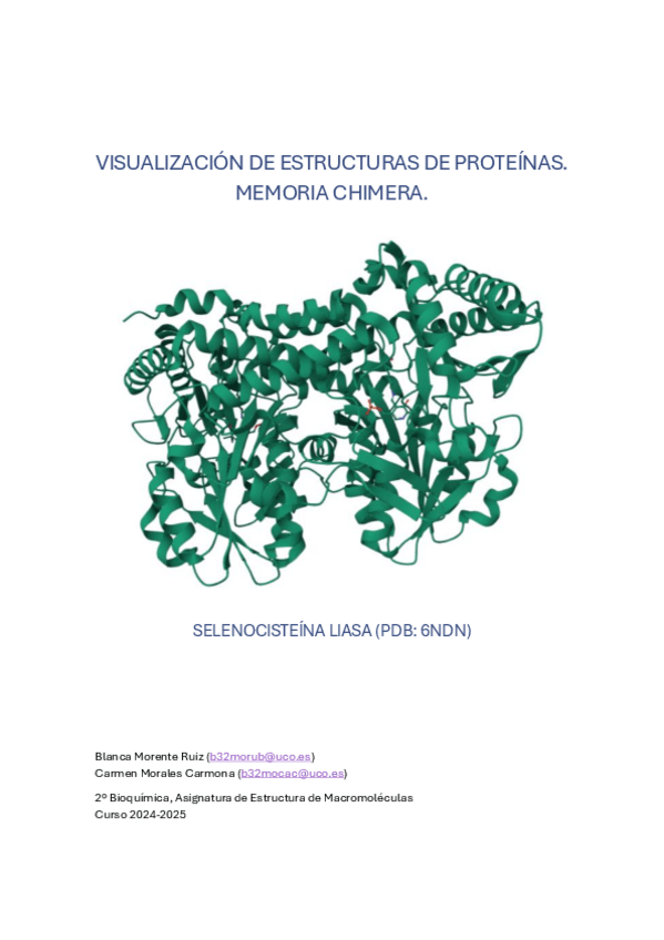 Miniatura del documento Memoria-Chimera-selenocisteina-liasa.pdf
